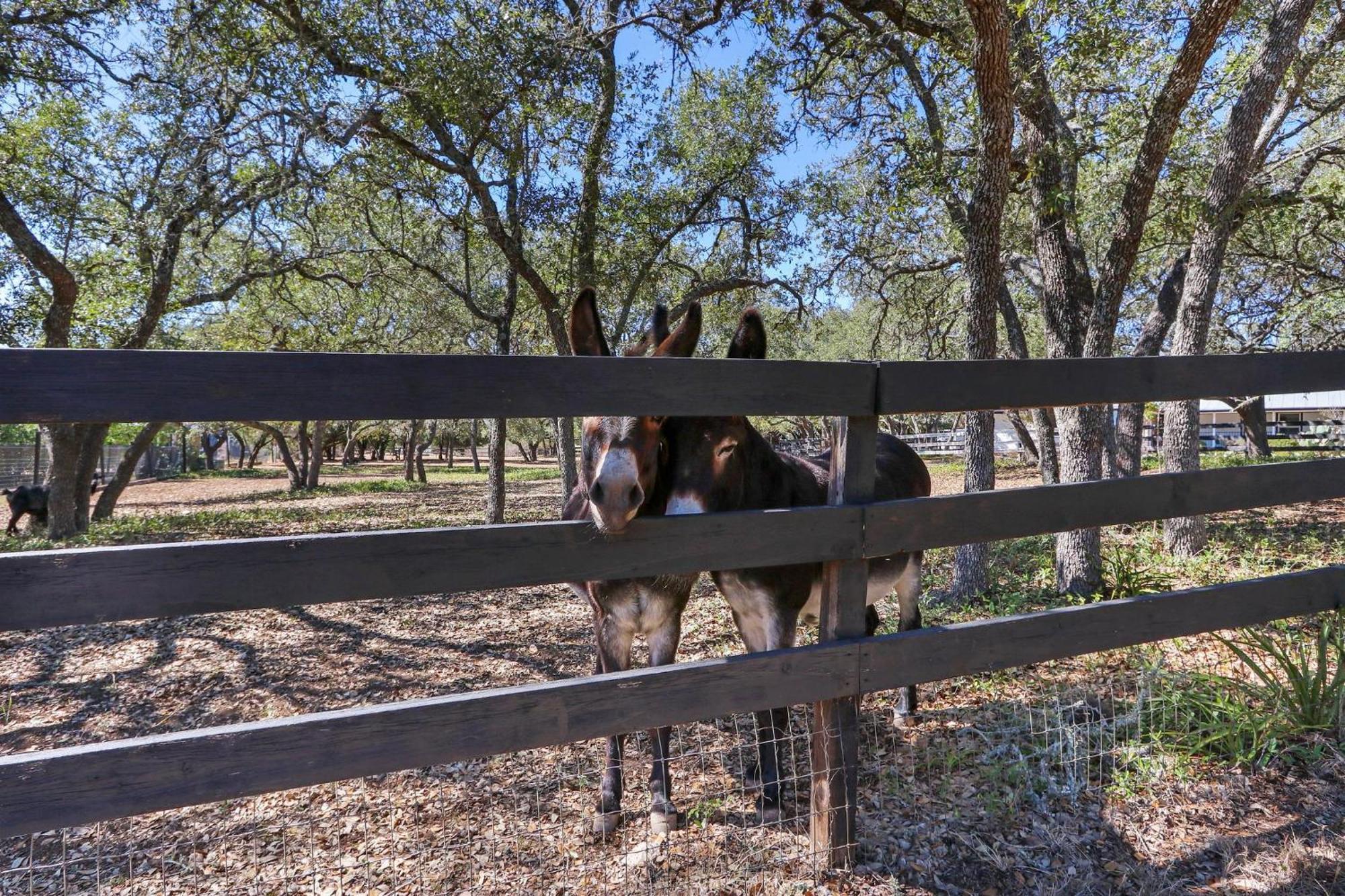 Red Donkey Cottage Wimberley Buitenkant foto