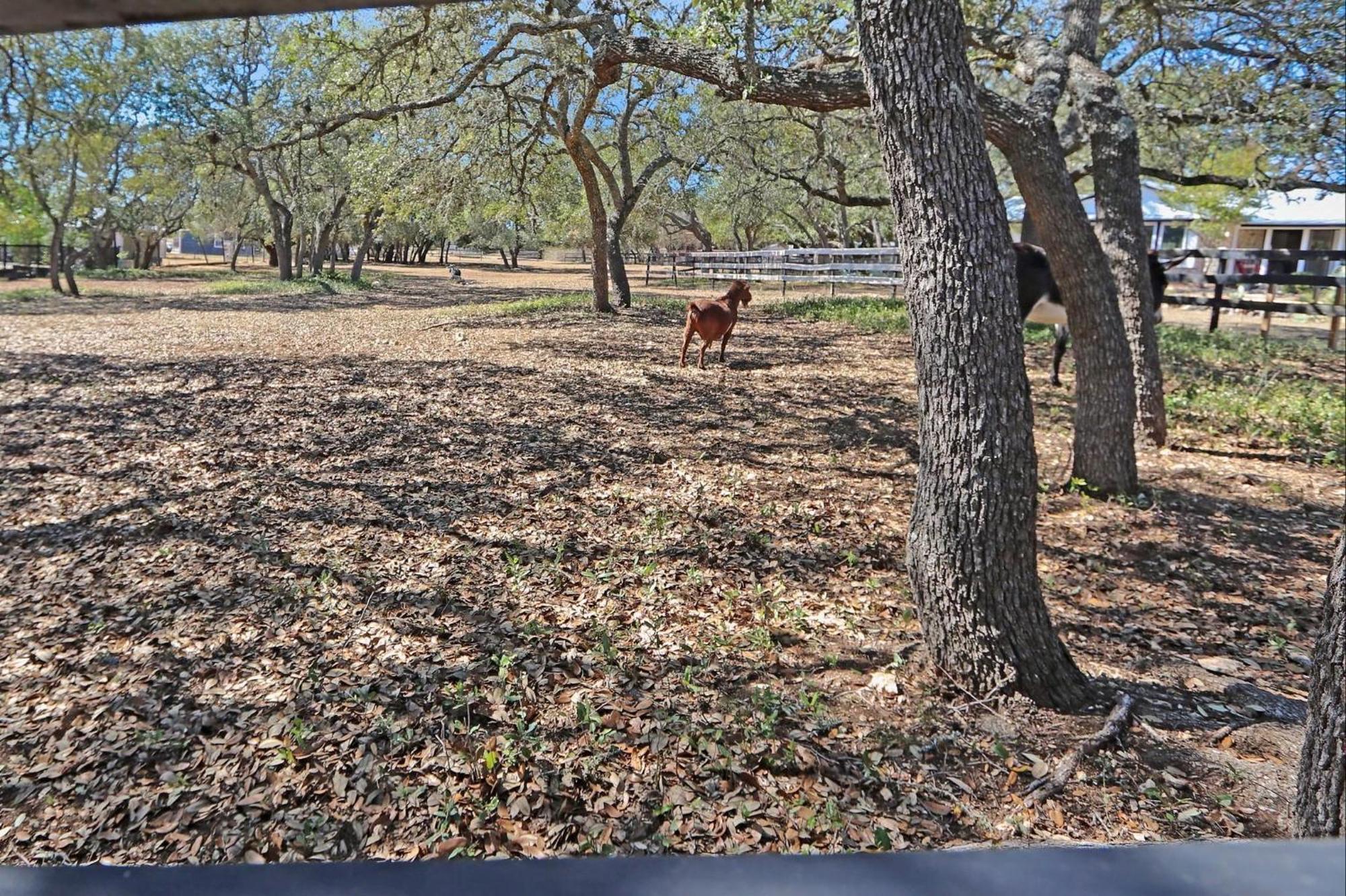 Red Donkey Cottage Wimberley Buitenkant foto